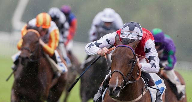 Timeform pick out their best three bets in South Africa on Friday